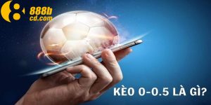 Kèo 0/0.5 Là Gì? Cách Bắt Kèo 0/0.5 Từ Cao Thủ Mới Nhất 2024